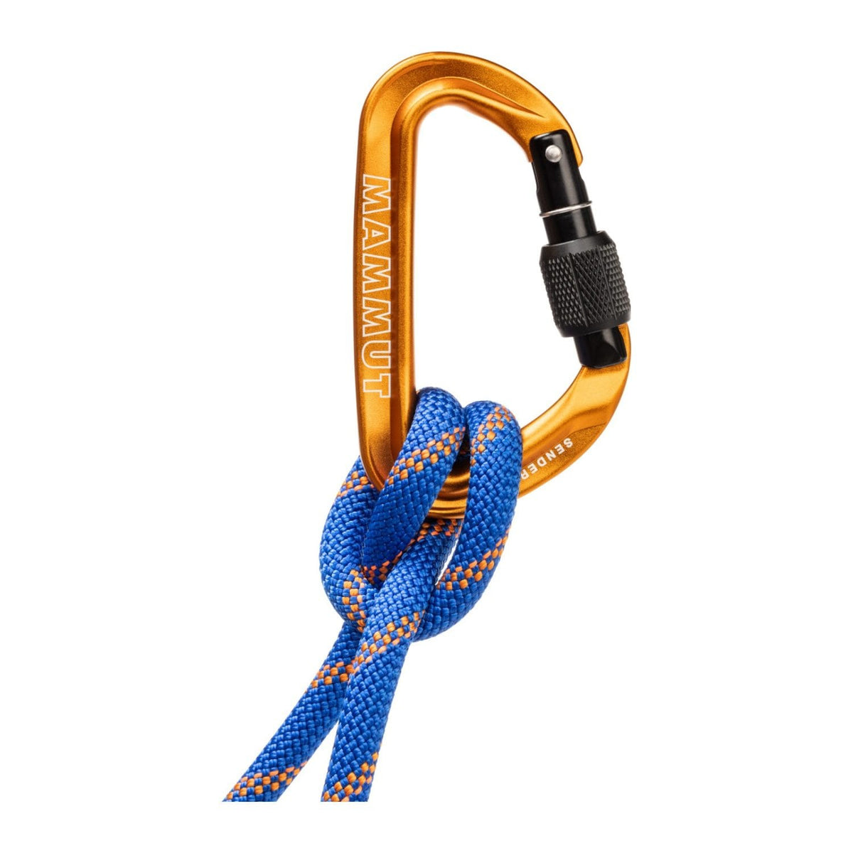 Mammut Sender Screw Gate Gold Carabiniera Siguranta
