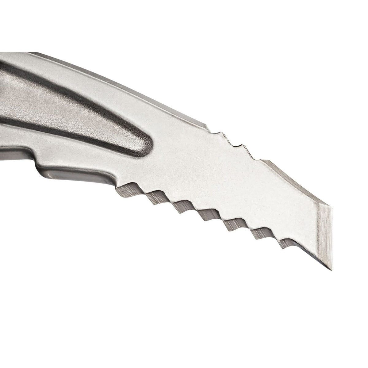 Petzl Summit Evo Ice Piolet Alpinism