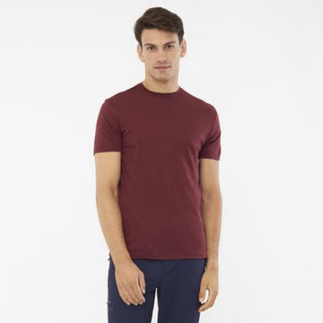 Tricou VIKING Salen Man Merino bărbătesc, bordo