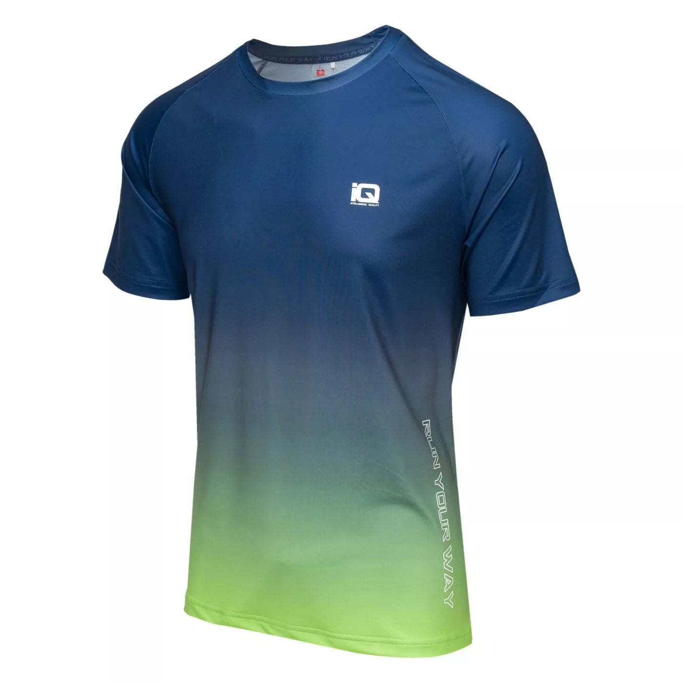 Tricou alergare cu mânecă scurtă barbati IQ INTELLIGENCE ESTISE blue/green