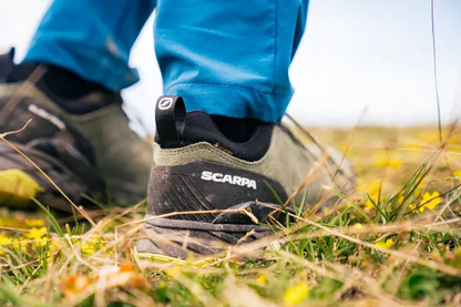 Scarpa Rush Trail Gore-Tex Titanium Lime Pantofi Drumetie Barbati