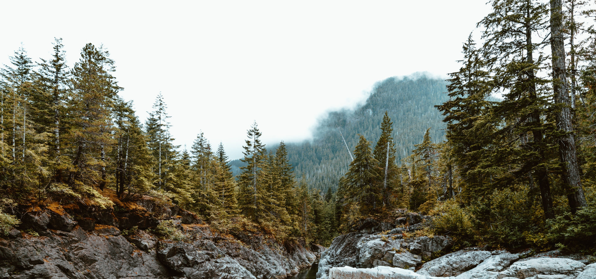 slider image 1621243260e1af0c20-1